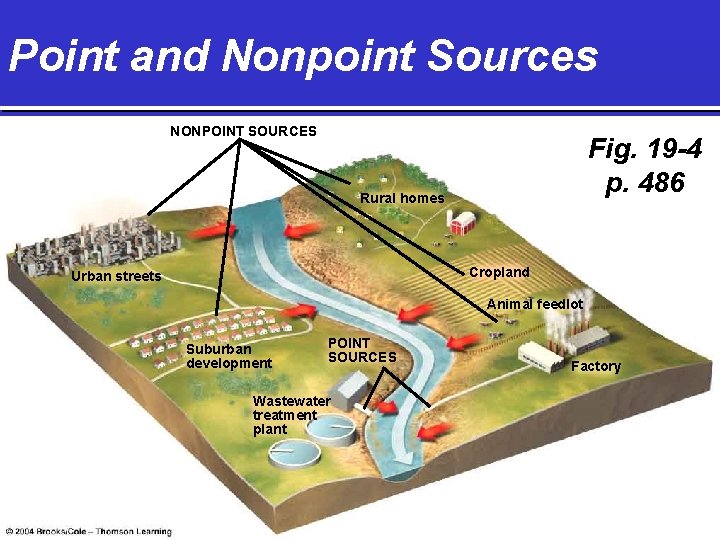 Point and Nonpoint Sources NONPOINT SOURCES Fig. 19 -4 p. 486 Rural homes Cropland