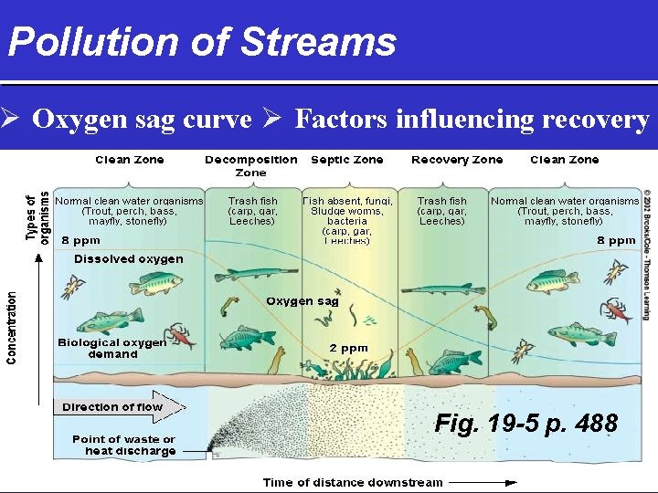 Pollution of Streams Ø Oxygen sag curve Ø Factors influencing recovery Fig. 19 -5