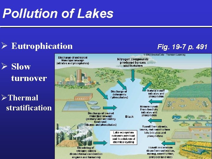 Pollution of Lakes Ø Eutrophication Ø Slow turnover ØThermal stratification Fig. 19 -7 p.