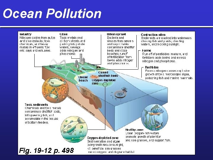 Ocean Pollution Fig. 19 -12 p. 498 