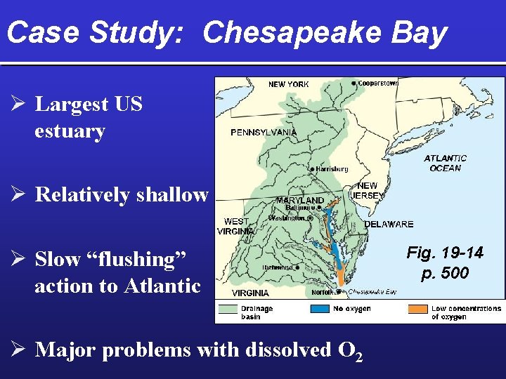 Case Study: Chesapeake Bay Ø Largest US estuary Ø Relatively shallow Ø Slow “flushing”