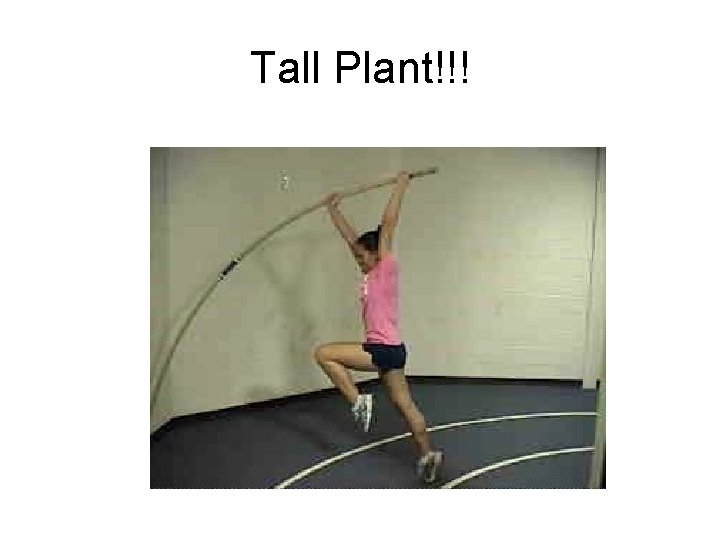 Tall Plant!!! 