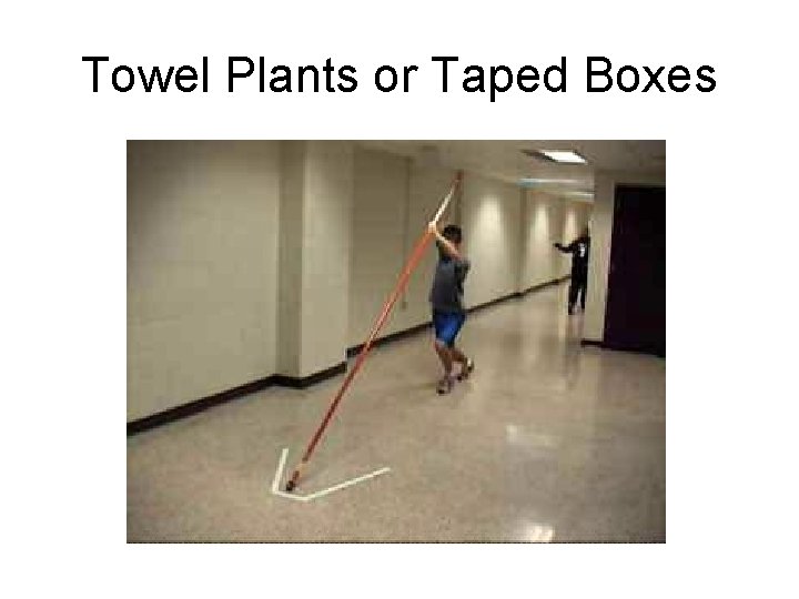 Towel Plants or Taped Boxes 