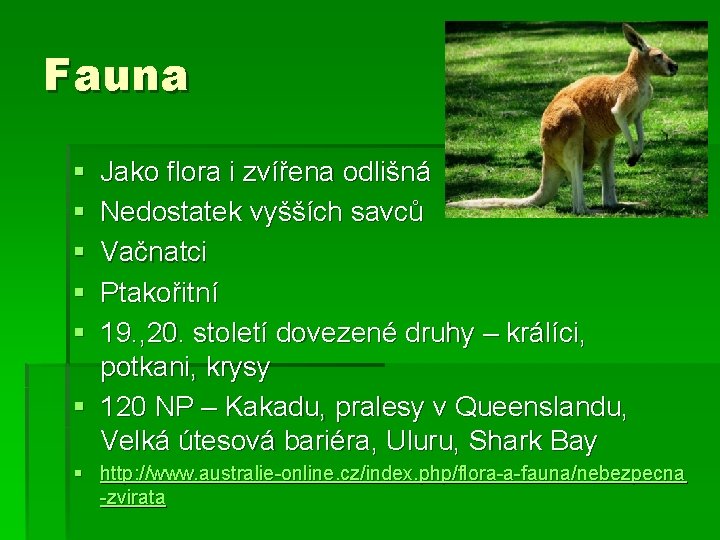 Fauna § § § Jako flora i zvířena odlišná Nedostatek vyšších savců Vačnatci Ptakořitní