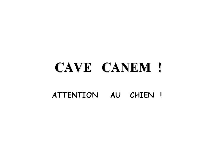 CAVE CANEM ! ATTENTION AU CHIEN ! 