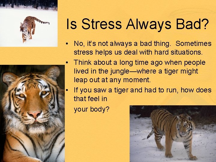 Is Stress Always Bad? • No, it’s not always a bad thing. Sometimes stress