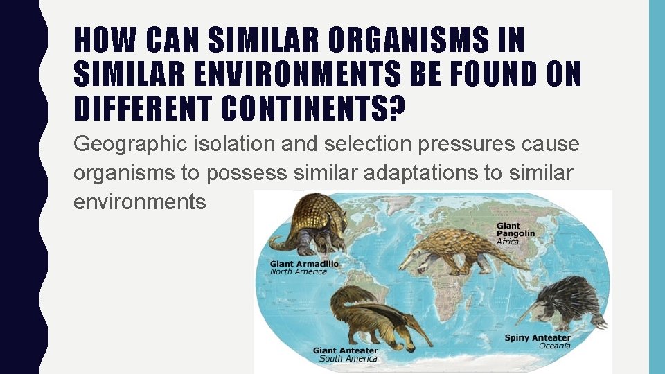 HOW CAN SIMILAR ORGANISMS IN SIMILAR ENVIRONMENTS BE FOUND ON DIFFERENT CONTINENTS? Geographic isolation