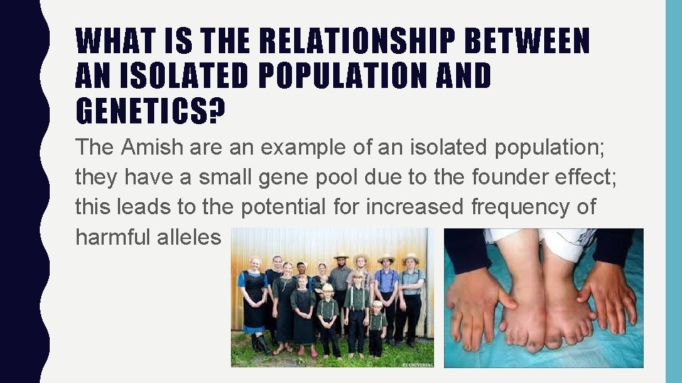 WHAT IS THE RELATIONSHIP BETWEEN AN ISOLATED POPULATION AND GENETICS? The Amish are an