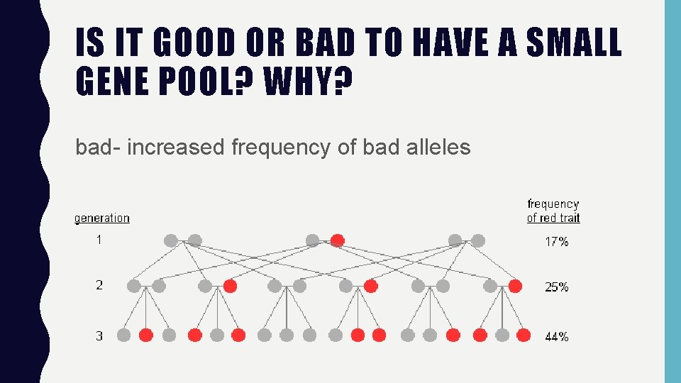 IS IT GOOD OR BAD TO HAVE A SMALL GENE POOL? WHY? bad- increased