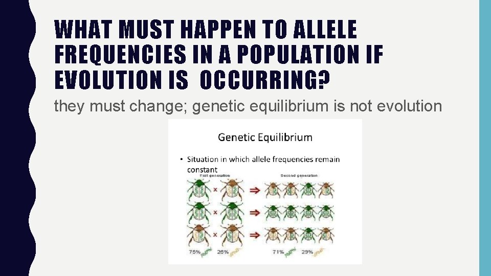WHAT MUST HAPPEN TO ALLELE FREQUENCIES IN A POPULATION IF EVOLUTION IS OCCURRING? they
