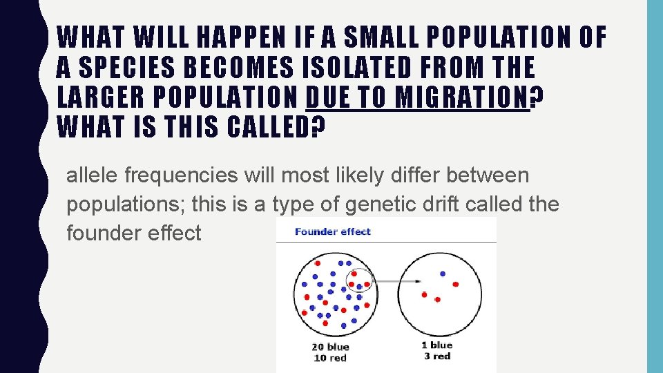 WHAT WILL HAPPEN IF A SMALL POPULATION OF A SPECIES BECOMES ISOLATED FROM THE