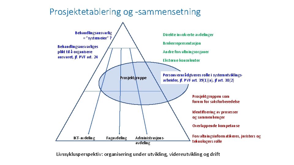 Prosjektetablering og -sammensetning Behandlingsansvarlig = ”systemeier” ? Direkte involverte avdelinger Brukerrepresentasjon Behandlingsansvarliges plikt til