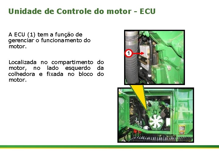 Unidade de Controle do motor - ECU A ECU (1) tem a função de