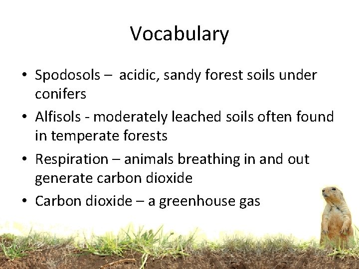 Vocabulary • Spodosols – acidic, sandy forest soils under conifers • Alfisols - moderately
