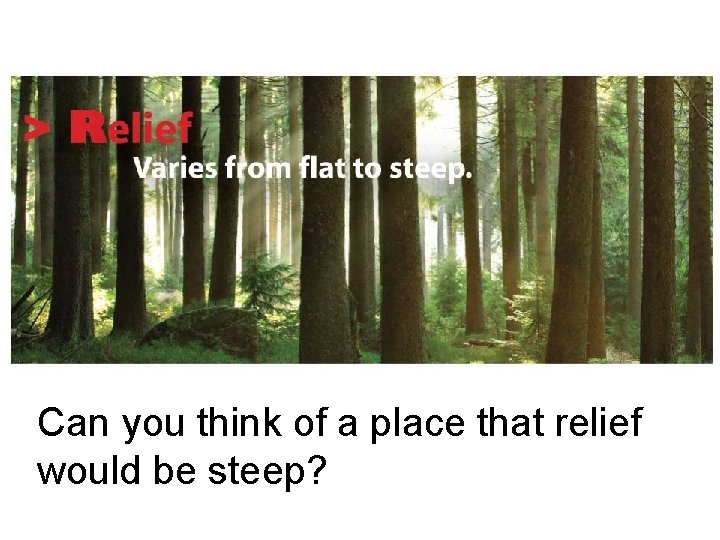 Can you think of a place that relief would be steep? 