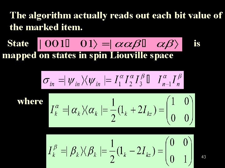 The algorithm actually reads out each bit value of the marked item. State mapped