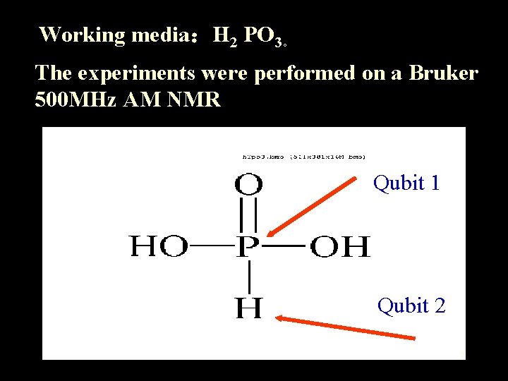 Working media：H 2 PO 3。 The experiments were performed on a Bruker 500 MHz