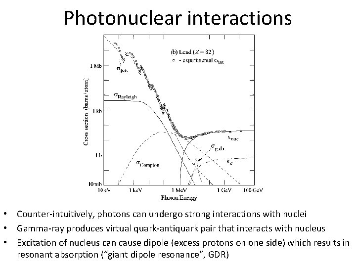 Photonuclear interactions • Counter-intuitively, photons can undergo strong interactions with nuclei • Gamma-ray produces