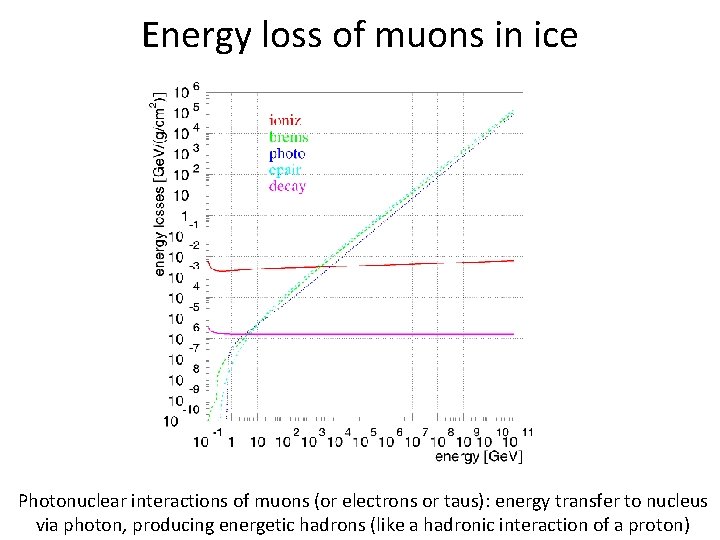Energy loss of muons in ice Photonuclear interactions of muons (or electrons or taus):