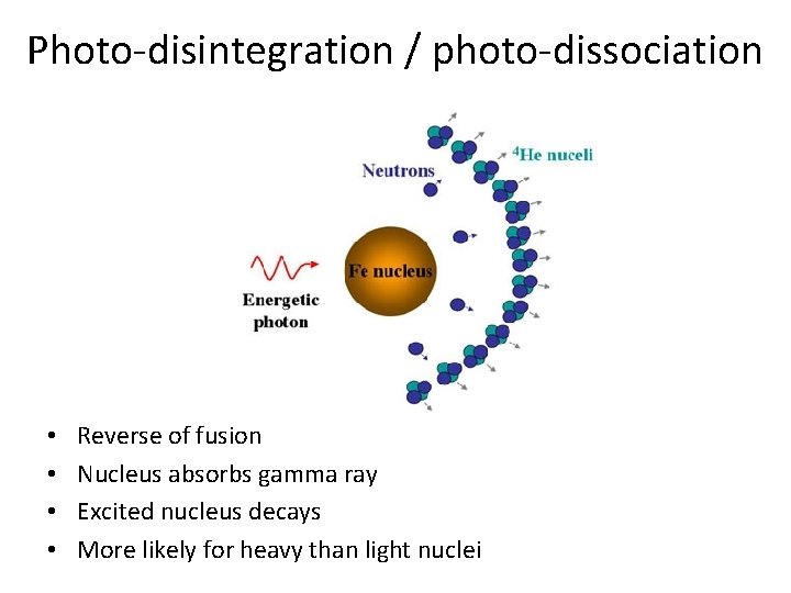 Photo-disintegration / photo-dissociation • • Reverse of fusion Nucleus absorbs gamma ray Excited nucleus