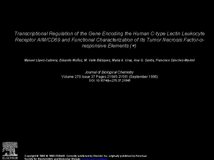 Transcriptional Regulation of the Gene Encoding the Human C-type Lectin Leukocyte Receptor AIM/CD 69