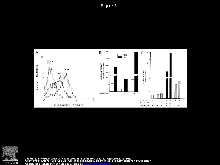 Figure 3: Journal of Biological Chemistry 1995 27021545 -21551 DOI: (10. 1074/jbc. 270. 37.