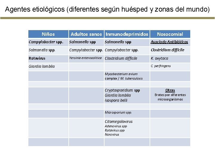 Agentes etiológicos (diferentes según huésped y zonas del mundo) Niños Adultos sanos Inmunodeprimidos Salmonella Agentes etiológicos (diferentes según huésped y zonas del mundo) Niños Adultos sanos Inmunodeprimidos Salmonella
