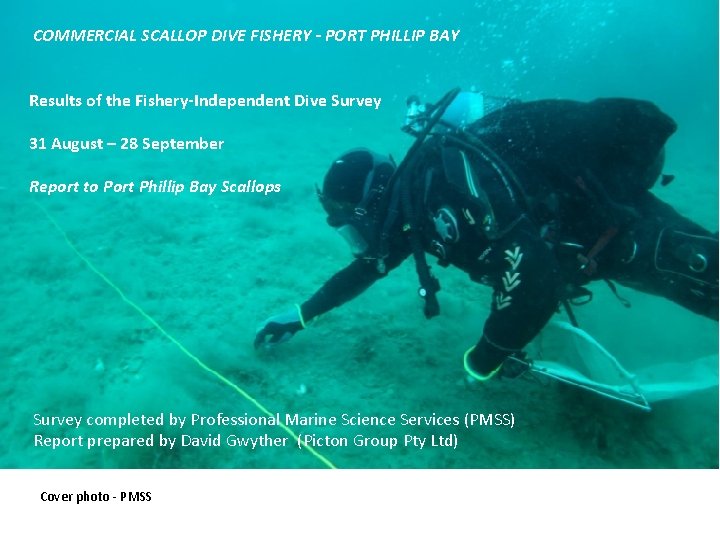 COMMERCIAL SCALLOP DIVE FISHERY - PORT PHILLIP BAY Scallop Dive (Port Phillip Bay) Fishery