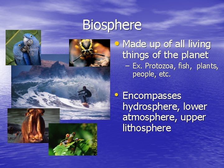 Biosphere • Made up of all living things of the planet – Ex. Protozoa, Biosphere • Made up of all living things of the planet – Ex. Protozoa,