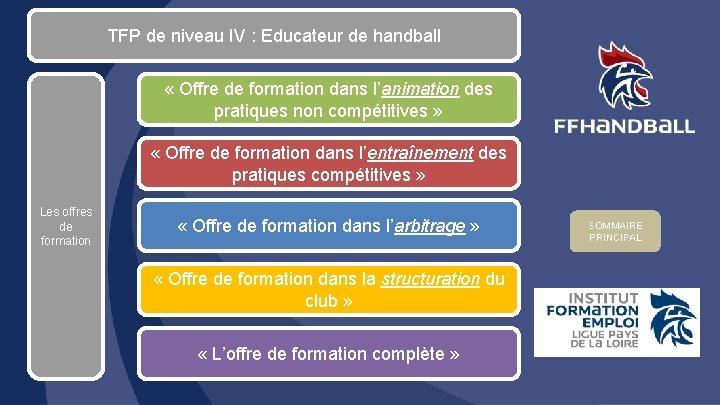 TFP de niveau IV : Educateur de handball « Offre de formation dans l’animation