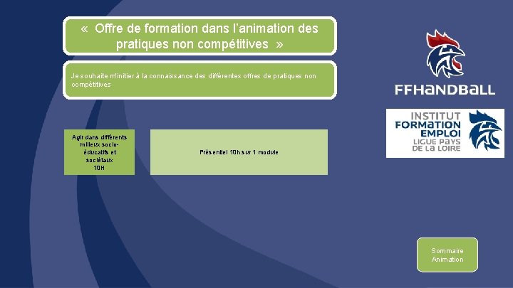  « Offre de formation dans l’animation des pratiques non compétitives » Je souhaite