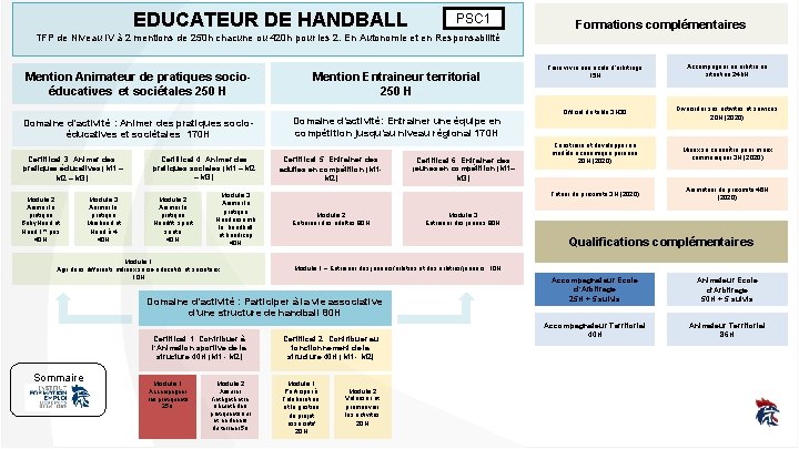 EDUCATEUR DE HANDBALL PSC 1 Formations complémentaires TFP de Niveau IV à 2 mentions