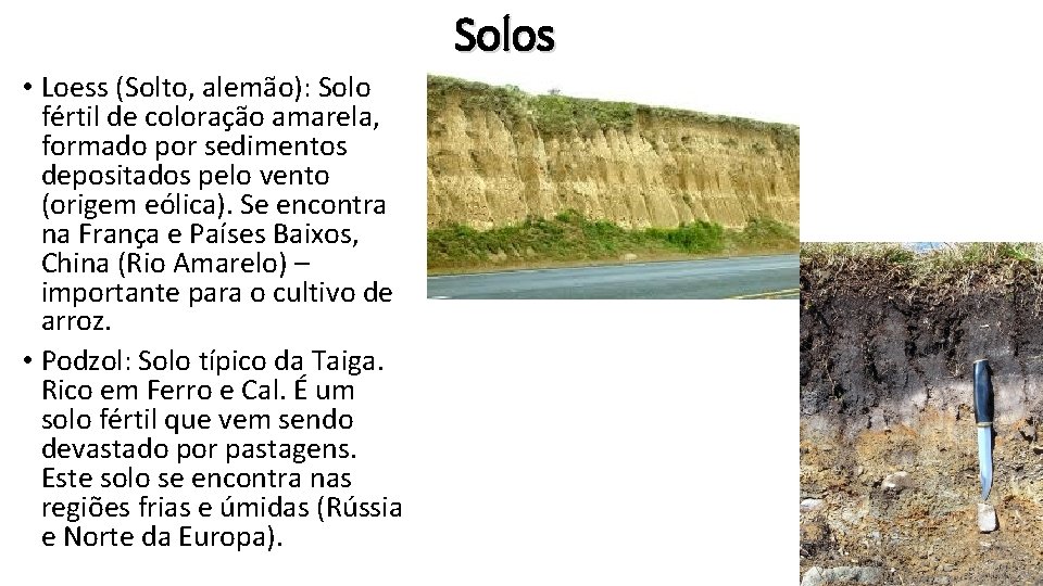 Solos • Loess (Solto, alemão): Solo fértil de coloração amarela, formado por sedimentos depositados