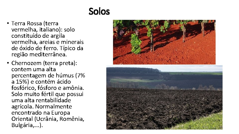 Solos • Terra Rossa (terra vermelha, italiano): solo constituído de argila vermelha, areias e