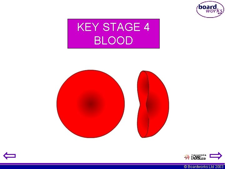 KEY STAGE 4 BLOOD © Boardworks Ltd 2003 