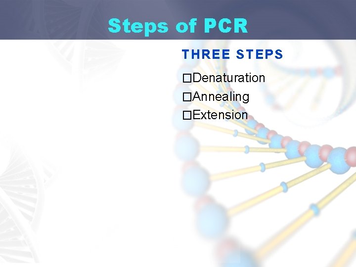 Steps of PCR THREE STEPS �Denaturation �Annealing �Extension 