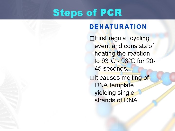 Steps of PCR DENATURATION �First regular cycling event and consists of heating the reaction