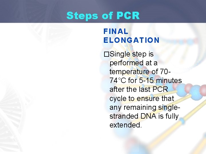 Steps of PCR FINAL ELONGATION �Single step is performed at a temperature of 7074°C