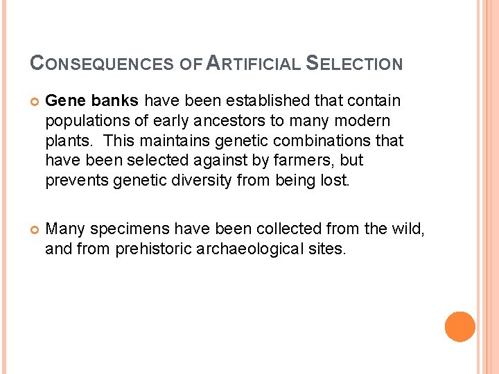 CONSEQUENCES OF ARTIFICIAL SELECTION Gene banks have been established that contain populations of early