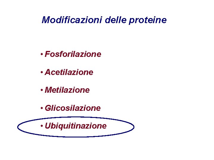 Modificazioni delle proteine • Fosforilazione • Acetilazione • Metilazione • Glicosilazione • Ubiquitinazione 