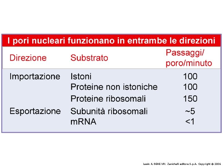 Lewin, IL GENE VIII, Zanichelli editore S. p. A. Copyright © 2006 