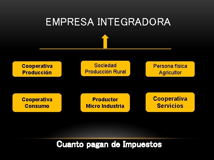 EMPRESA INTEGRADORA Cooperativa Producción Sociedad Producción Rural Persona física Agricultor Cooperativa Consumo Productor Micro