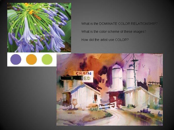 What is the DOMINATE COLOR RELATIONSHIP? What is the color scheme of these images? What is the DOMINATE COLOR RELATIONSHIP? What is the color scheme of these images?