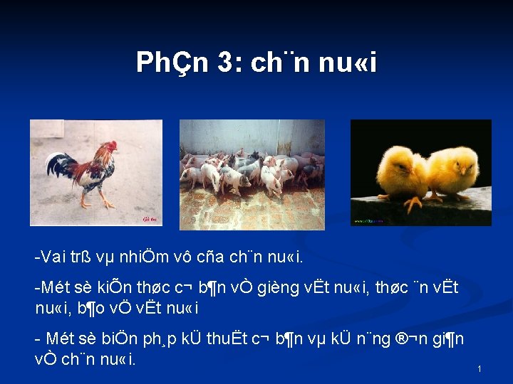 PhÇn 3: ch¨n nu «i Vai trß vµ nhiÖm vô cña ch¨n nu «i.