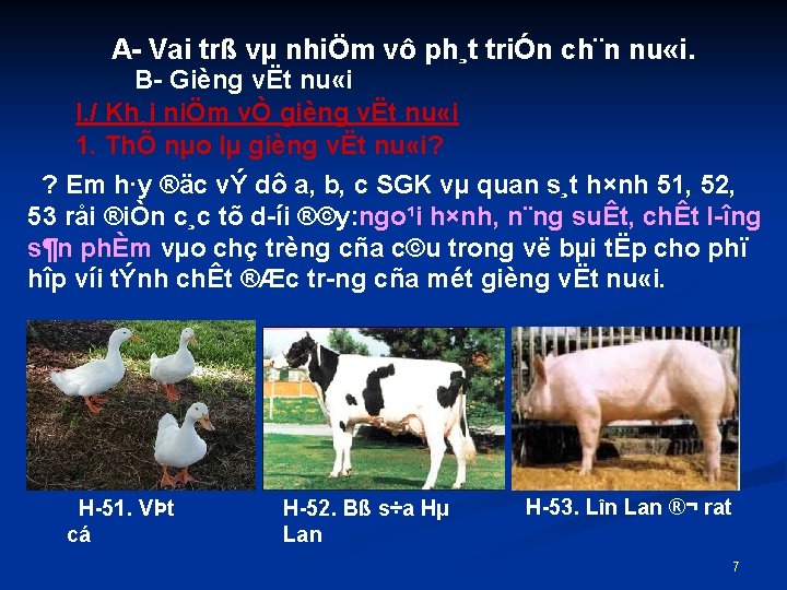 A Vai trß vµ nhiÖm vô ph¸t triÓn ch¨n nu «i. B Gièng vËt