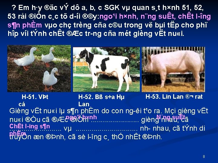 ? Em h·y ®äc vÝ dô a, b, c SGK vµ quan s¸t h×nh