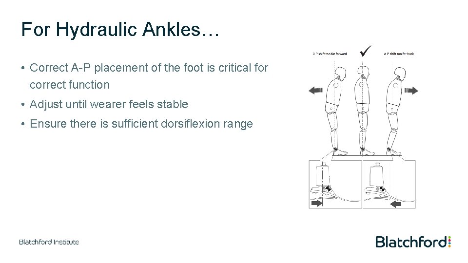 For Hydraulic Ankles… • Correct A-P placement of the foot is critical for correct