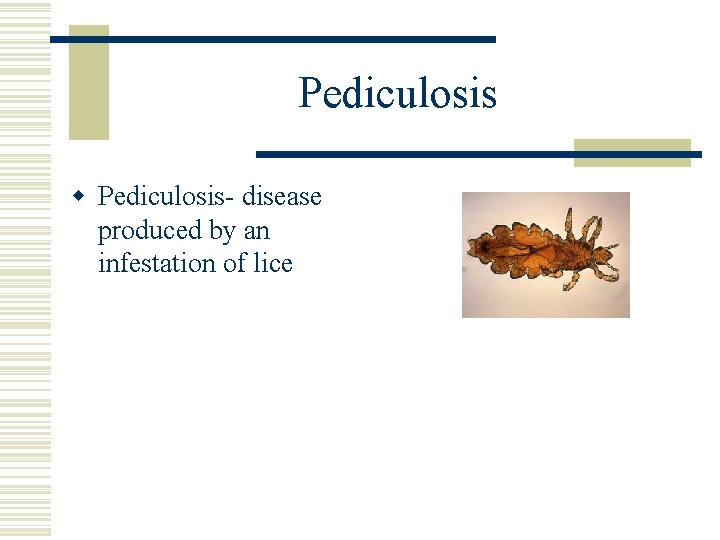 Pediculosis w Pediculosis- disease produced by an infestation of lice 