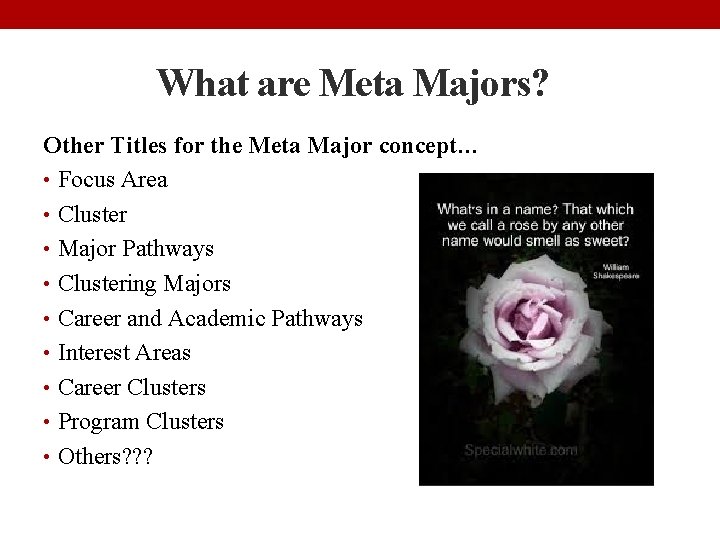 What are Meta Majors? Other Titles for the Meta Major concept… • Focus Area