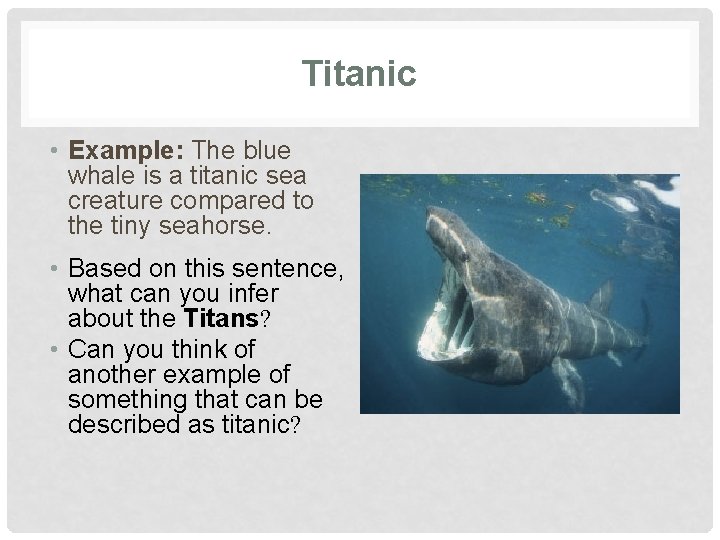 Titanic • Example: The blue whale is a titanic sea creature compared to the